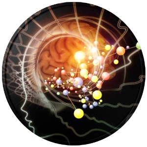 Psychoneuroimmunology