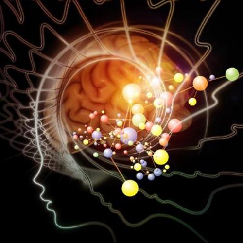 Psychoneuroimmunology