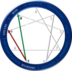 dammad-enneagram-type-5