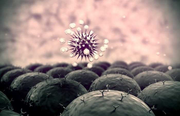Psychoneuroimmunology