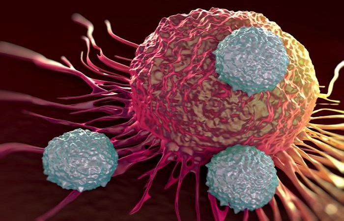Psychoneuroimmunology