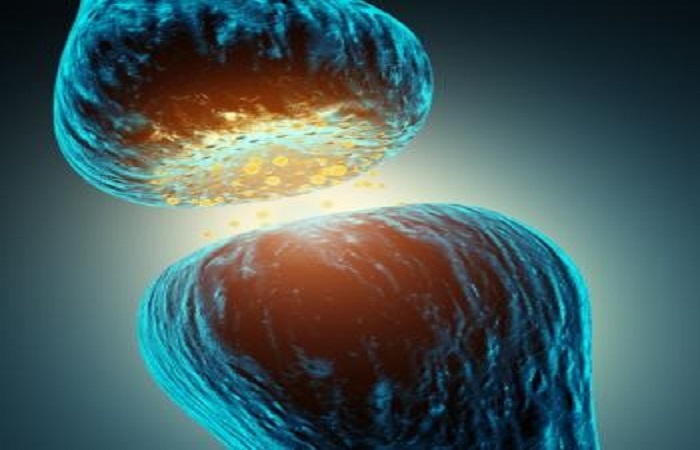 Psychoneuroimmunology